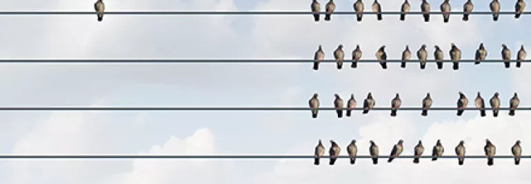 Birds perched on parallel wires against a cloudy sky.