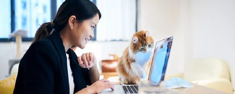 Smiling woman working on a laptop, with a curious cat pawing at the screen.