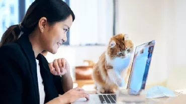 Smiling woman working on a laptop, with a curious cat pawing at the screen.